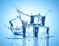 Ice cubes and splashing water on blue gradient background Royalty Free Stock Photo