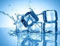 Ice cubes and splashing water on blue gradient background Royalty Free Stock Photo