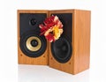 Two wooden speakers with black front panels are placed side by side Royalty Free Stock Photo