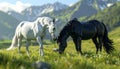 Black horse and white horse together on the illustration. Symbol freedom and wild. Beautiful horses. Royalty Free Stock Photo