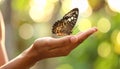 Woman holding beautiful butterfly against blurry background, close up Royalty Free Stock Photo