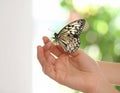 Woman holding beautiful butterfly against blurry background, close up Royalty Free Stock Photo