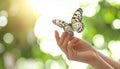 Woman holding beautiful butterfly against blurry background, close up Royalty Free Stock Photo