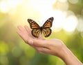 Woman holding beautiful butterfly against blurry background, close up Royalty Free Stock Photo
