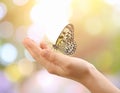 Woman holding beautiful butterfly against blurry background, close up Royalty Free Stock Photo