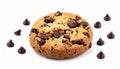 Chocolate chips cookie isolated on white with selective focus Royalty Free Stock Photo