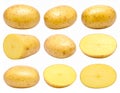 Several whole and sliced potatoes (Solanum tuberosum) are displayed against a white background Royalty Free Stock Photo