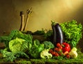 An assortment of fresh vegetables is displayed against a rustic backdrop Royalty Free Stock Photo