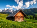 Log cabin in the Dolomites, Italy, nestled in a lush green meadow adorned with yellow wildflowers Royalty Free Stock Photo