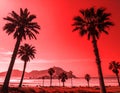 Tall palm trees silhouetted against a dramatic red sky along a coastline Royalty Free Stock Photo