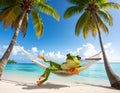 Realist effect A smiling frog lies peacefully in a hammock, one leg suspended Royalty Free Stock Photo