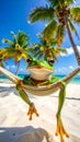 Realist effect A smiling frog lies peacefully in a hammock, one leg suspended Royalty Free Stock Photo