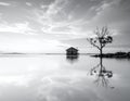 A serene black and white scene featuring a solitary house on water with a nearby bare tree Royalty Free Stock Photo