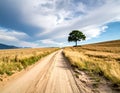 A solitary tree stands beside a dirt road running through open fields of golden grass under a vast blue sky Royalty Free Stock Photo