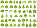 Stylized chart depicting various green tree and leaf silhouettes on a white background. Royalty Free Stock Photo