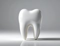 A large, glossy white model of a human molar tooth Royalty Free Stock Photo