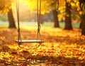 A rope swing hangs from a tree in an autumnal park Royalty Free Stock Photo