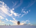 A winter landscape with a snow-covered field and a solitary tree at its center Royalty Free Stock Photo