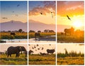 Sunset over a savanna landscape with grazing elephants Royalty Free Stock Photo
