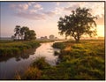 Serene landscape featuring a gently winding river bordered by lush grass and small shrubs Royalty Free Stock Photo
