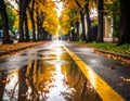Tree-lined street during autumn, with vibrant yellow and orange leaves Royalty Free Stock Photo