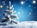 Art snowy Christmas tree. Branch of the snowy Christmas tree on night blue background Royalty Free Stock Photo
