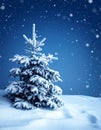 Art snowy Christmas tree. Branch of the snowy Christmas tree on night blue background Royalty Free Stock Photo