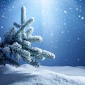 Art snowy Christmas tree. Branch of the snowy Christmas tree on night blue background Royalty Free Stock Photo