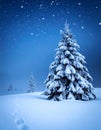 Art snowy Christmas tree. Branch of the snowy Christmas tree on night blue background Royalty Free Stock Photo