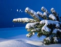 Art snowy Christmas tree. Branch of the snowy Christmas tree on night blue background Royalty Free Stock Photo