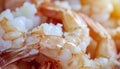 Close-up of Fresh Cooked Shrimp Delicious Seafood Macro Royalty Free Stock Photo