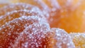 Macro Dewdrops on Rose Petals - Soft Focus, Close-up Natural Beauty Royalty Free Stock Photo