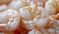 Close-up of Fresh Cooked Shrimp Delicious Seafood Macro Royalty Free Stock Photo