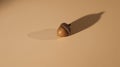 Acorn with Shadow on Beige Background - Autumn, Nature, Fall Season, Macro Royalty Free Stock Photo