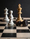 Chess photographed on a chessboard Royalty Free Stock Photo