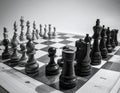 Chess photographed on a chessboard Royalty Free Stock Photo