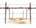 Barbed wire fence extending into the distance with wooden posts Royalty Free Stock Photo