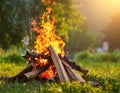 Beautiful bonfire with pile of burning firewood outdoors Royalty Free Stock Photo