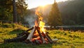 Beautiful bonfire with pile of burning firewood outdoors Royalty Free Stock Photo