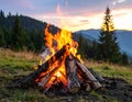 Beautiful bonfire with pile of burning firewood outdoors Royalty Free Stock Photo