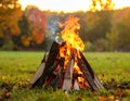 Beautiful bonfire with pile of burning firewood outdoors Royalty Free Stock Photo