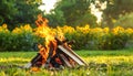 Beautiful bonfire with pile of burning firewood outdoors Royalty Free Stock Photo