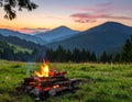 Beautiful bonfire with pile of burning firewood outdoors Royalty Free Stock Photo