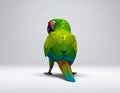 Low poly 3D image of green macaw (ara militaris) seen from behind Royalty Free Stock Photo