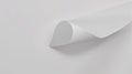 Abstract White Paper Curl - Minimalist Background, Blank Page, Copy Space Royalty Free Stock Photo