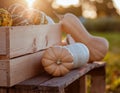 Rustic Autumn Harvest Display with Pumpkins and Gourds Royalty Free Stock Photo