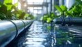 Industrial Water Pipe Flowing Into a Trough in a Modern Plant Environment. Royalty Free Stock Photo