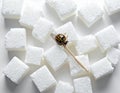 A collection of white sugar cubes arranged on a white surface, with a bug perched on a wooden stick Royalty Free Stock Photo