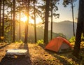 Orange tent set up in a forested campsite, surrounded by tall pine trees Royalty Free Stock Photo