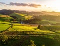 Rolling green hills stretch across the landscape under a serene, golden sunset Royalty Free Stock Photo